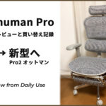 ErgoHuman 9-Year Review: Side-by-Side Photo Comparison with the New Model!